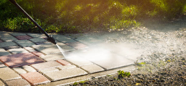 Animal Enclosure Cleaning in Carthage, NY